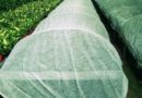 Выбор плотности укрывного спанбонда для различных агротехнических нужд